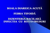 Curs 3. BDA Febra Tifoida Dizenteria Bacilara Rotaviroze 2012 2013