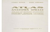 RANGA - Atlas de Anatomia Omului, Sistemul Nervos Central