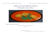 Abilitati Practice - Cls. I-II