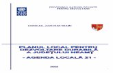 Planul Local Pentru Dezvoltare Durabila a Judetului Neamt Agenda Locala21