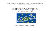 Informatica Juridica IFR Ubv Curs- Sidonia Cernea