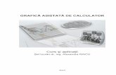 Grafica Asistata Calculator+-+Curs Aplicatii.unlocked