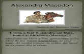 Alexandru Macedon
