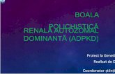 Boala polichistică renală autozomal dominantă (ADPKD)