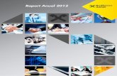 Raport Anual 2012.PDF