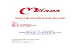 46068323 Injectie Secventiala de Gaz Milano
