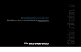 Blackberry Curve 209320 Ro