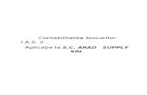 Contabilitatea Stocurilor IAS 2. Aplicatie La SC Arad Supply SRL