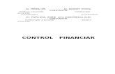 131995409 Control Financiar III CIG Carte Aplicatii Revizuite