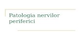 3 Patologia nervilor periferici
