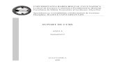 Bazele contabilitatii - an I FSEGA.pdf