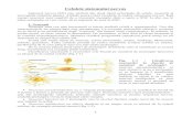 Neurobiologie - Carte