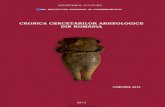 cronica cercetarilor arheologice campania 2012