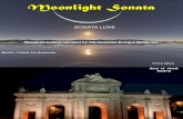 Istoria de La Sonata Lunii - Beethoven