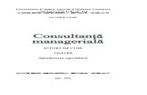 Consultanta Manageriala