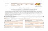 PPM PlanParentalMinimal Romania ExempluCompletat