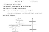 Reglarea Glicolizei, Decarboxilare Piruvat, Ciclul Krebs