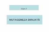 Curs - Mutageneza Dirijata