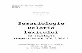 Programa Optional Completa Semasiologie