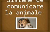 Sisteme de comunicare la animale