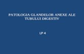 Lp 4 - Patologia Glandelor Anexe Ale Tubului Digestiv