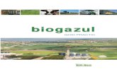 BiG-East Handbook Romania Biogaz
