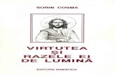 Sorin Cosma - Virtutea si razele ei de lumina - 1999