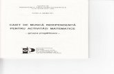 Caiet de Munca Independenta pt activitatile matematice-grupa Pregatitoare