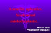 Anemii Aplastice Sindrom Mielodisplastic