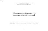 Comportament Organizational - Curs Doctorat