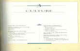 Schaefer si Lamm sociologie Capitolul 3 Cultură