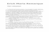 Erich Maria Remarque-Trei Camarazi 10