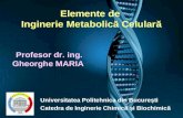 Inginerie metabolica_1