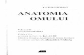 Anatomia Omului Vol 2 Splanhnologia v Papilian Ed X