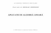 Popoviciu Algebra Lineara