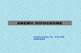 27893375 Curs 4 Anemii Hipocrome