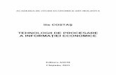 Manual TPI (tehnologii de procesare a informatiilor economice)