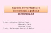 Regulile Comunitare Ale Concurenței Şi Politica Concurenţială