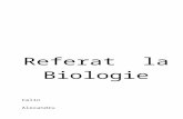 Referatele.org 1128 Referat La Bio