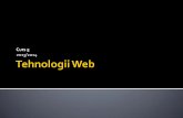 Terhnologii WEB