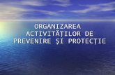 Organizarea Activitaţilor de Prevenire