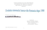 Proiect Moneda Evolutia Sistemului Bancar Din Romania (1)