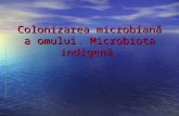 Microbiota Si Principalele Bacterii.curs 4