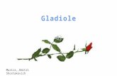 Gladiole. Flori