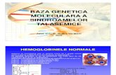 Baza Genetica Moleculara in Talasemii