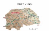 Proiect Traditii Si Obic Eiuri Bucovina - Copy