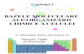 Bazele Moleculare Ale Organizc483rii Celulei