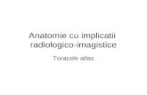 1.1. Anatomie Radiologica