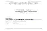 Studiu de Fezabilitate - ZDS 1200mp TIp P-LSP.04