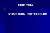 Biochimie - Proteine